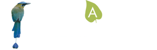 Logotipo blanco-1