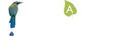 Logotipo blanco-1